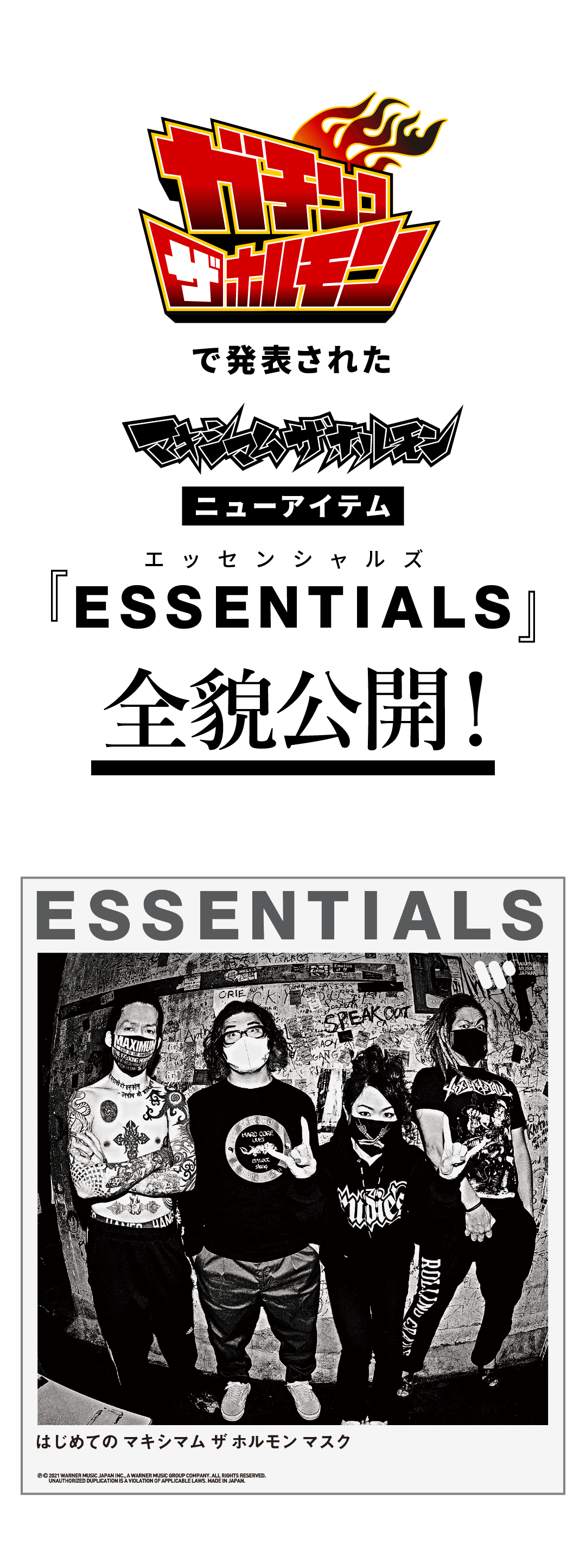 はじめての マキシマム ザ ホルモン マスク「ESSENTIALS」