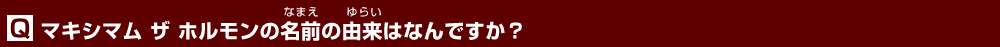 マキシマム ザ ホルモンの名前の由来はなんですか？